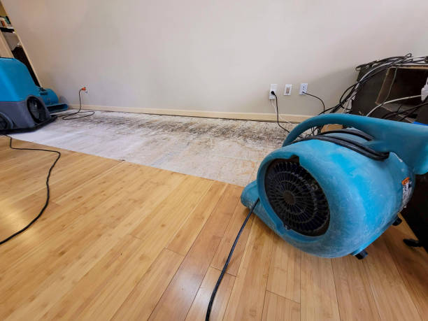 Professional Emergency Water Damage technician working in Scottville, MI